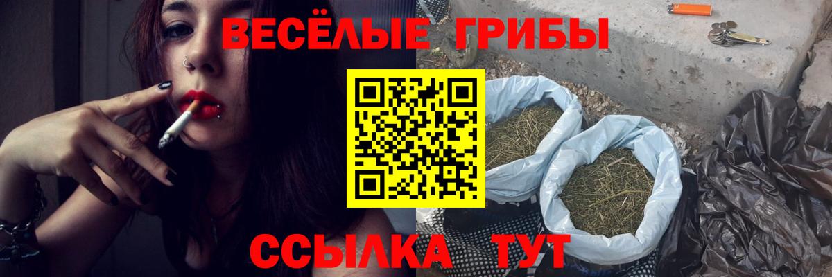 Псилоцибиновые грибы ЛСД Знаменск